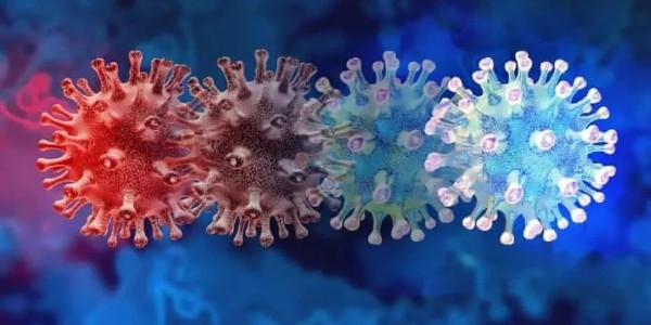 Omicron新型變異毒株再出現(xiàn)-仟龍醫(yī)療